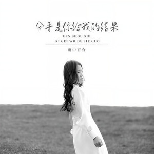 分手是你给我的结果