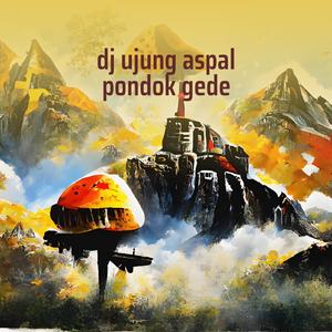 Dj Ujung Aspal Pondok Gede