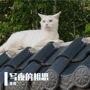 写夜的相思-整曲