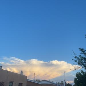 lose your mind (feat. vile)