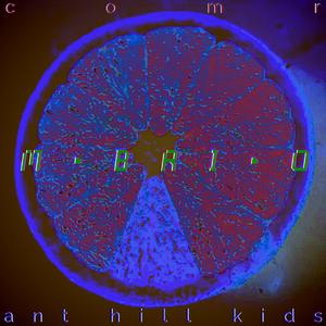 M•BRI•O_/STSat-2c_