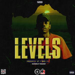 Levels
