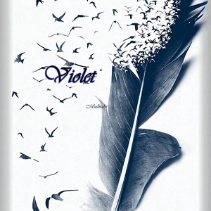 我们路过所有的美好（旅行纪念版）