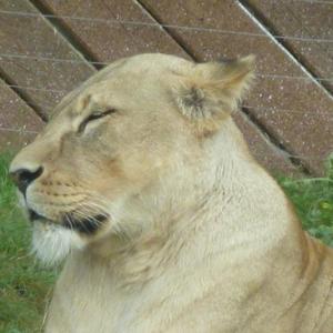 She Went Away With Next Door Fellow