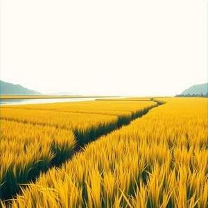 风吹稻花香两岸