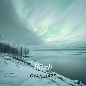 Birch