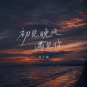 初见晚风遇见你