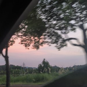 夏夜