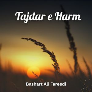 Sarkar Di Gal Kariay