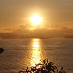 我要你（cover 阿虾）