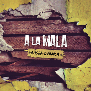 Jamás Voy a Entender