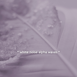 White Noise Black Screen