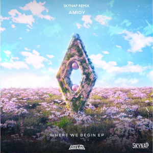 Where We Begin (Skynap Remix)