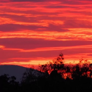 星辰夜语的璀璨