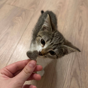 малыш я в ахуе