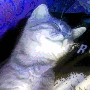 Котики (Remix)