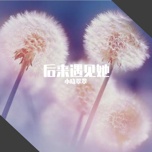 Molotov Cocktail Piano -mark my words（小晓翠翠 remix）