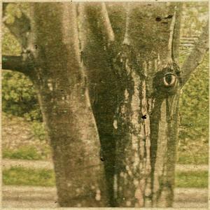 REEDS (feat. marqbeats)