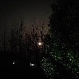 Bad emo(prod. by lazy)