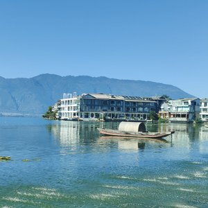 洱海的半杯咖啡