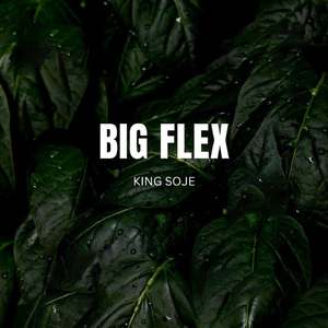 Big Flex
