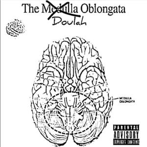Doulah Oblongata