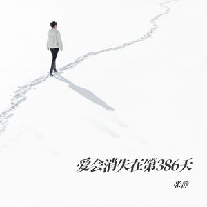 爱会消失在第386天