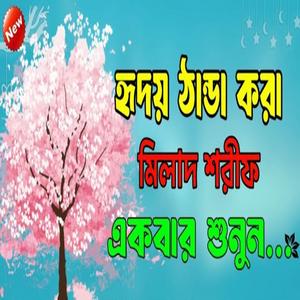 রাতের গভীরে এই জিকির টি শুনুন ভালো ঘুম হবে ইনশাআল্লাহ