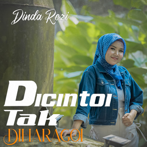 Di Cintoi Tak Di Haragoi