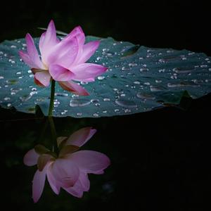 方山恋歌