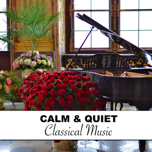 Beethoven's Sonata No 11 in B Flat Major Op 22 III Minuetto