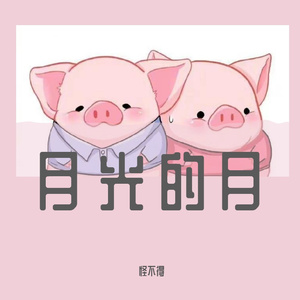 月光的6253