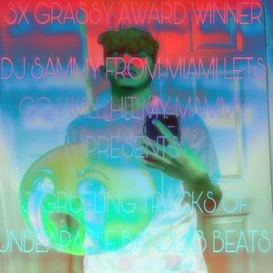 the “dj sammy from miami lets go i will hit my mammy” handbook for beta male gooners (feat. evilj0rdan 1xx)