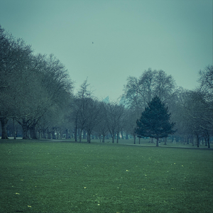 Reflections of Your Ghost (feat. Oneira)