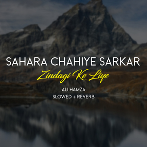 Sahara Chahiye Sarkar Zindagi Ke Liye Lofi