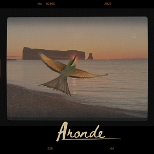 Aronde