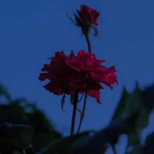 美好，RUBY，And You