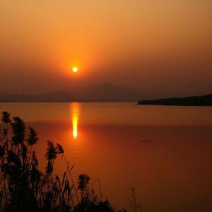 偏要向着逆风的方（热烈的少年）