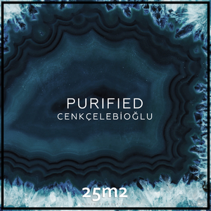 Purified