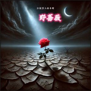 没有人比我更爱你