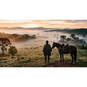 Saudade do Rio Grande Que Nao Cabe na Bagagem.Wav