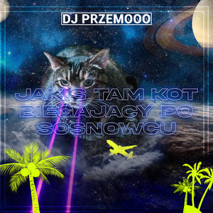 JAKIŚ TAM KOT BIEGAJĄCY PO SOSNOWCU