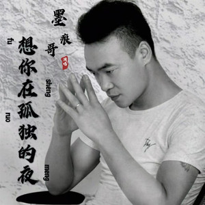 想你在孤独的夜