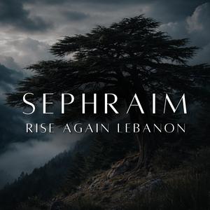 Rise Again Lebanon