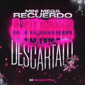 Mini Mega Recuerdo + a Tu Novio Descartalo Rkt