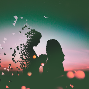 玫瑰花瓣一片一片凋落在眼前