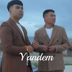 Yandem（返悔）