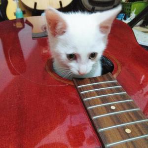 无论你多么怪异我还是会喜欢你