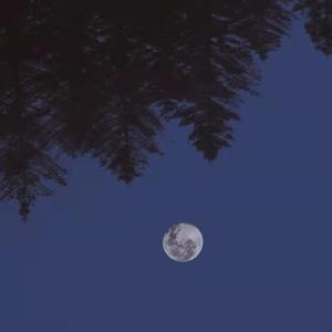 lonely moon (prod.4Hunnid)