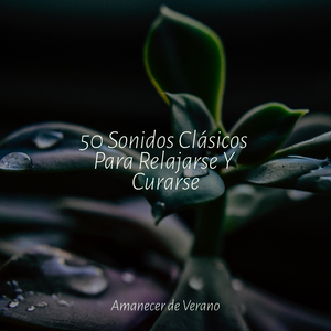 Los Momentos Difuminados de Soledad